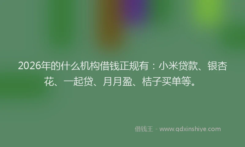 2026年的什么机构借钱正规有：小米贷款、银杏花、一起贷、月月盈、桔子买单等。