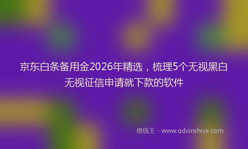 京东白条备用金2026年精选，梳理5个无视黑白无视征信申请就下款的软件