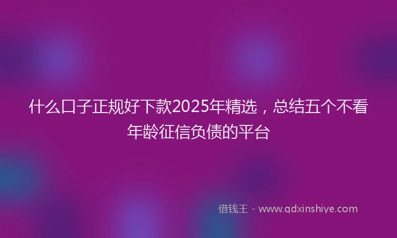 什么口子正规好下款2025年精选，总结五个不看年龄征信负债的平台