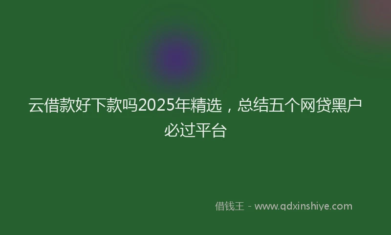 云借款好下款吗2025年精选，总结五个网贷黑户必过平台