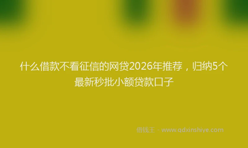 什么借款不看征信的网贷2026年推荐，归纳5个最新秒批小额贷款口子