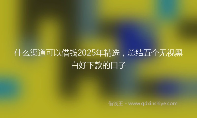 什么渠道可以借钱2025年精选，总结五个无视黑白好下款的口子