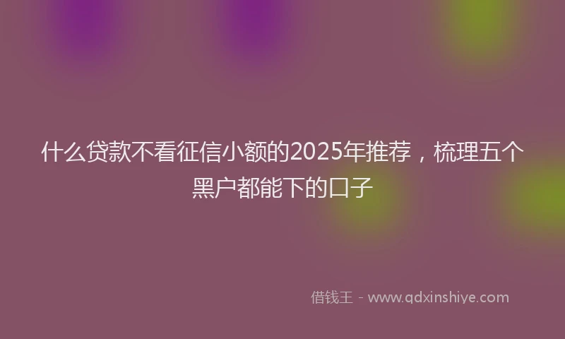 什么贷款不看征信小额的2025年推荐,梳理五个黑户都能下的口子