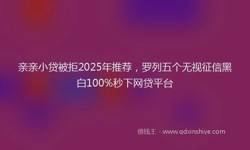亲亲小贷被拒2025年推荐，罗列五个无视征信黑白100%秒下网贷平台