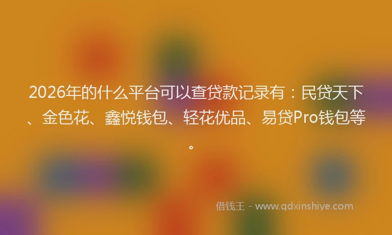 2026年的什么平台可以查贷款记录有:民贷天下、金色花、鑫悦钱包、轻花优品、易贷Pro钱包等。