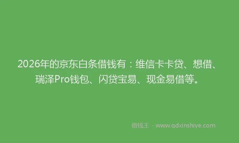 2026年的京东白条借钱有：维信卡卡贷、想借、瑞泽Pro钱包、闪贷宝易、现金易借等。