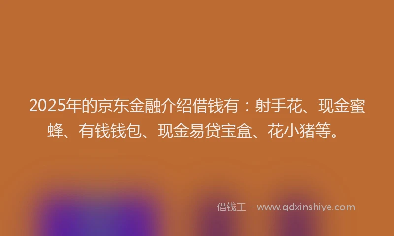 2025年的京东金融介绍借钱有：射手花、现金蜜蜂、有钱钱包、现金易贷宝盒、花小猪等。
