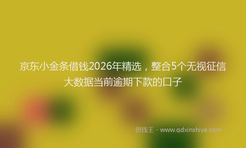 京东小金条借钱2026年精选，整合5个无视征信大数据当前逾期下款的口子