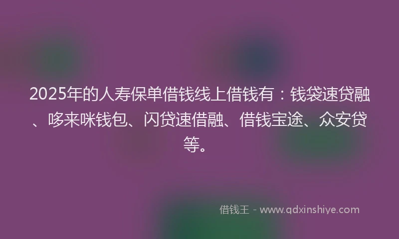 2025年的人寿保单借钱线上借钱有：钱袋速贷融、哆来咪钱包、闪贷速借融、借钱宝途、众安贷等。