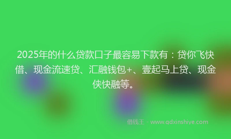 2025年的什么贷款口子最容易下款有：贷你飞快借、现金流速贷、汇融钱包+、壹起马上贷、现金侠快融等。