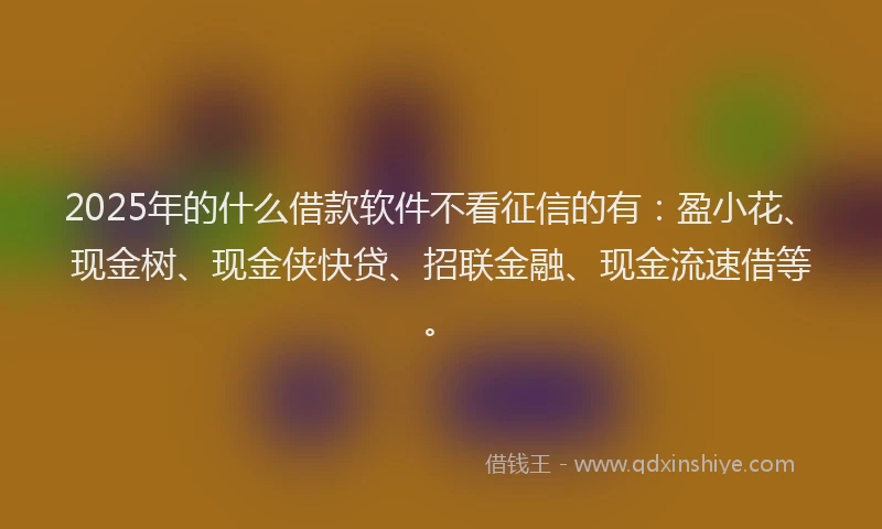 2025年的什么借款软件不看征信的有：盈小花、现金树、现金侠快贷、招联金融、现金流速借等。