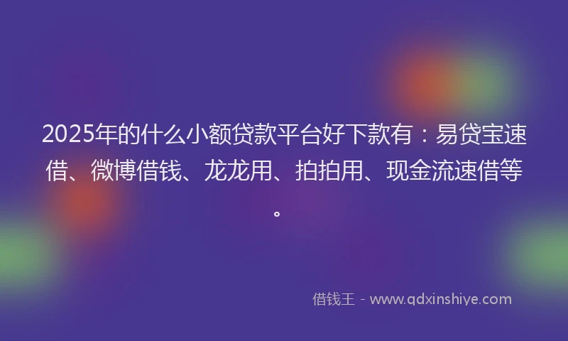 2025年的什么小额贷款平台好下款有：易贷宝速借、微博借钱、龙龙用、拍拍用、现金流速借等。