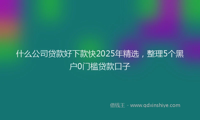 什么公司贷款好下款快2025年精选，整理5个黑户0门槛贷款口子