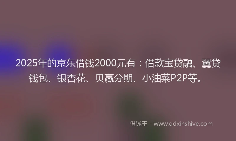 2025年的京东借钱2000元有：借款宝贷融、翼贷钱包、银杏花、贝赢分期、小油菜P2P等。