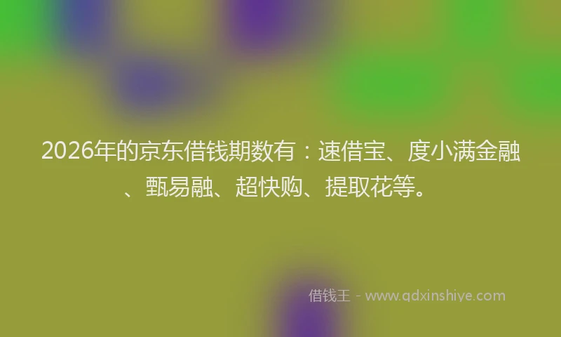 2026年的京东借钱期数有：速借宝、度小满金融、甄易融、超快购、提取花等。