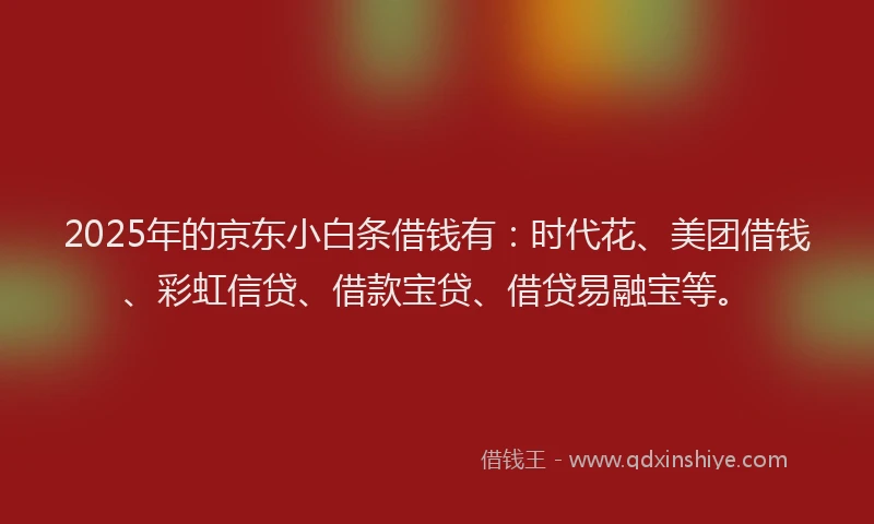 2025年的京东小白条借钱有:时代花、美团借钱、彩虹信贷、借款宝贷、借贷易融宝等。