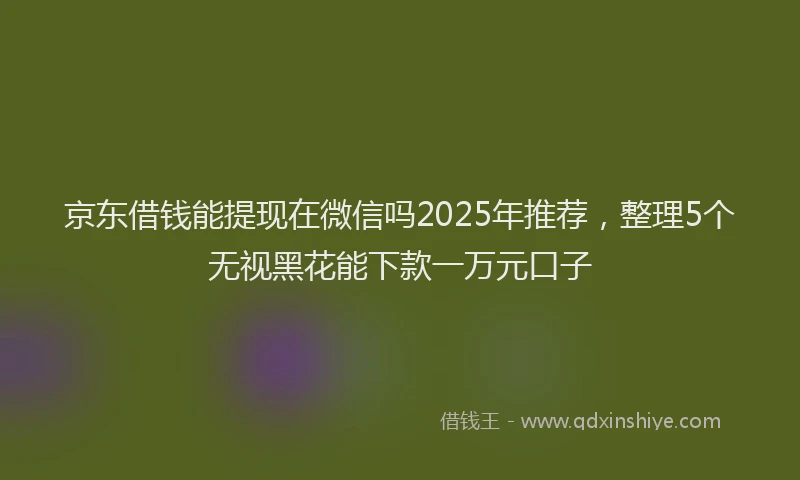 京东借钱能提现在微信吗2025年推荐，整理5个无视黑花能下款一万元口子