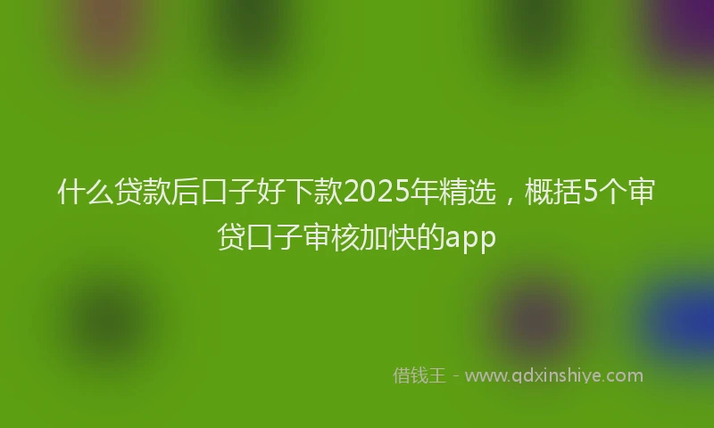 什么贷款后口子好下款2025年精选，概括5个审贷口子审核加快的app