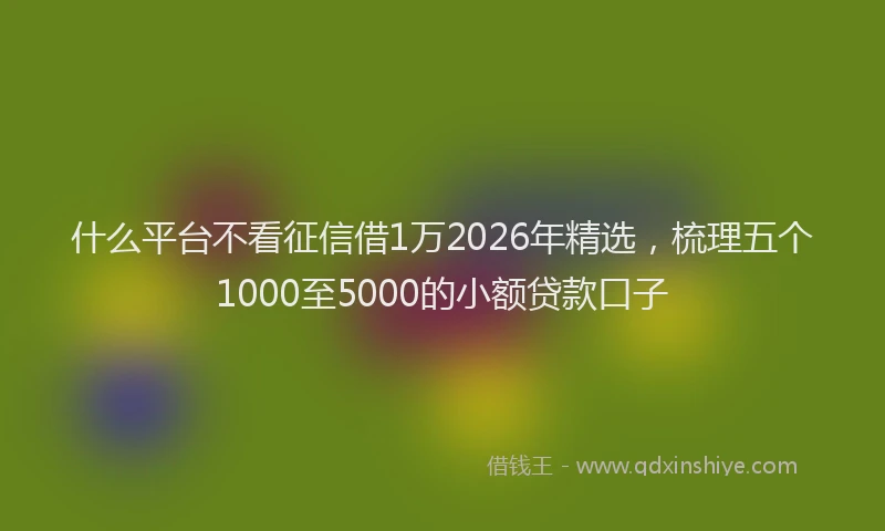 什么平台不看征信借1万2026年精选，梳理五个1000至5000的小额贷款口子