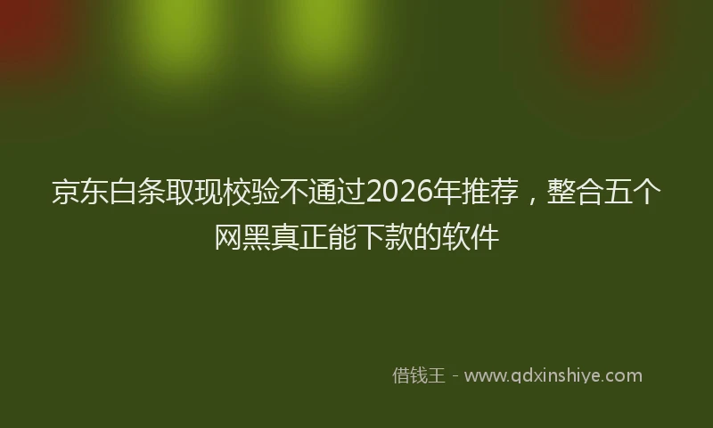 京东白条取现校验不通过2026年推荐，整合五个网黑真正能下款的软件