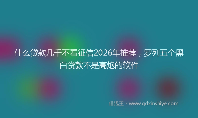 什么贷款几千不看征信2026年推荐,罗列五个黑白贷款不是高炮的软件