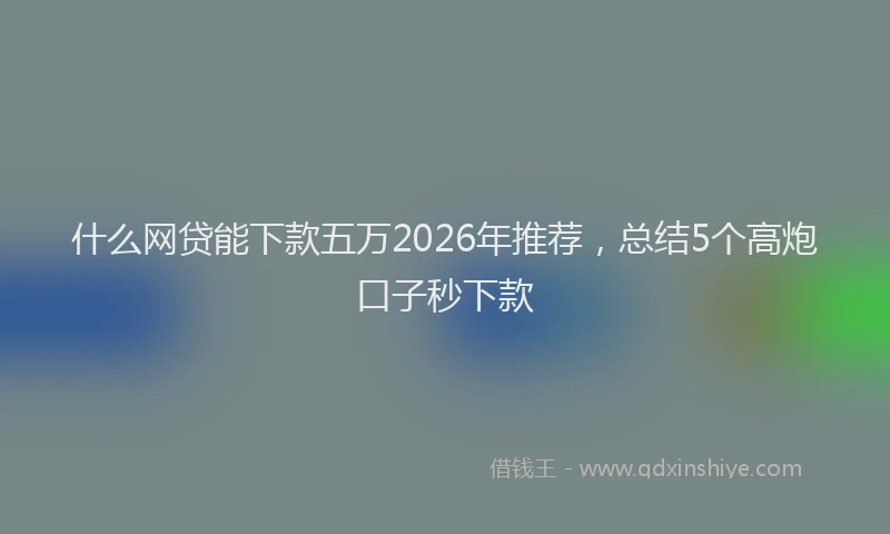 什么网贷能下款五万2026年推荐,总结5个高炮口子秒下款