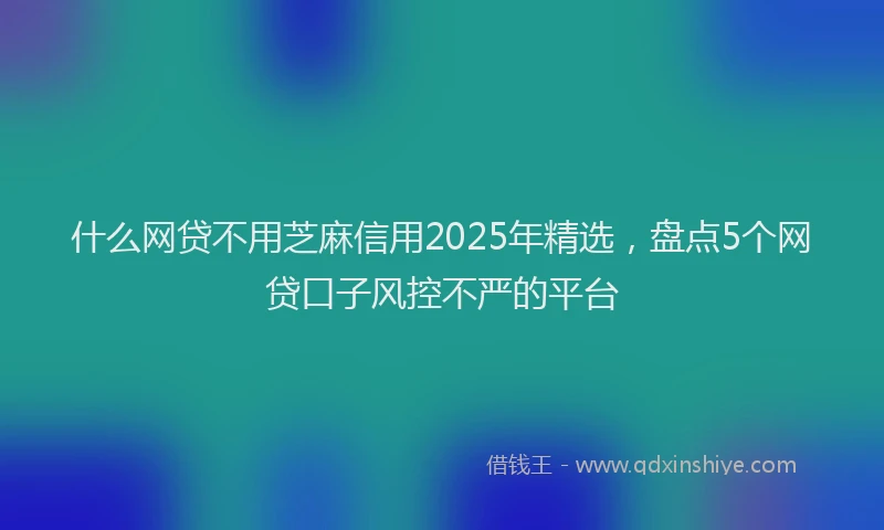 什么网贷不用芝麻信用2025年精选,盘点5个网贷口子风控不严的平台