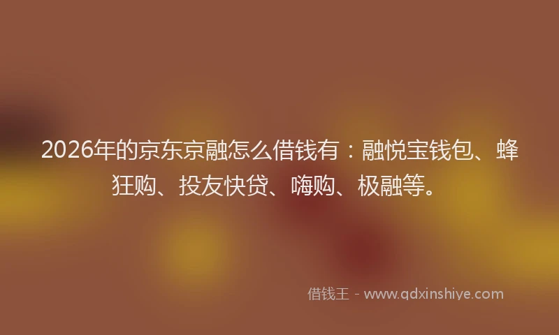 2026年的京东京融怎么借钱有：融悦宝钱包、蜂狂购、投友快贷、嗨购、极融等。