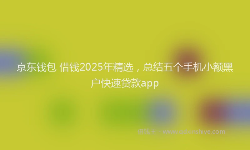 京东钱包 借钱2025年精选,总结五个手机小额黑户快速贷款app