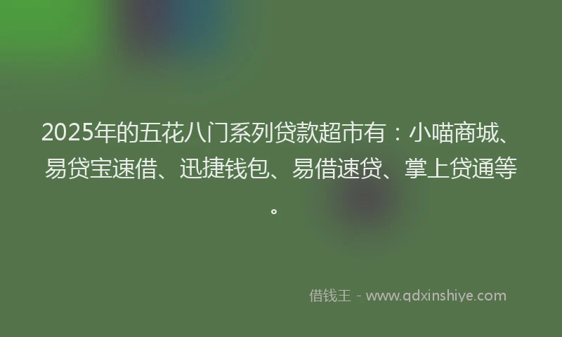 2025年的五花八门系列贷款超市有:小喵商城、易贷宝速借、迅捷钱包、易借速贷、掌上贷通等。