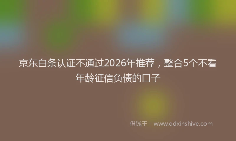 京东白条认证不通过2026年推荐，整合5个不看年龄征信负债的口子