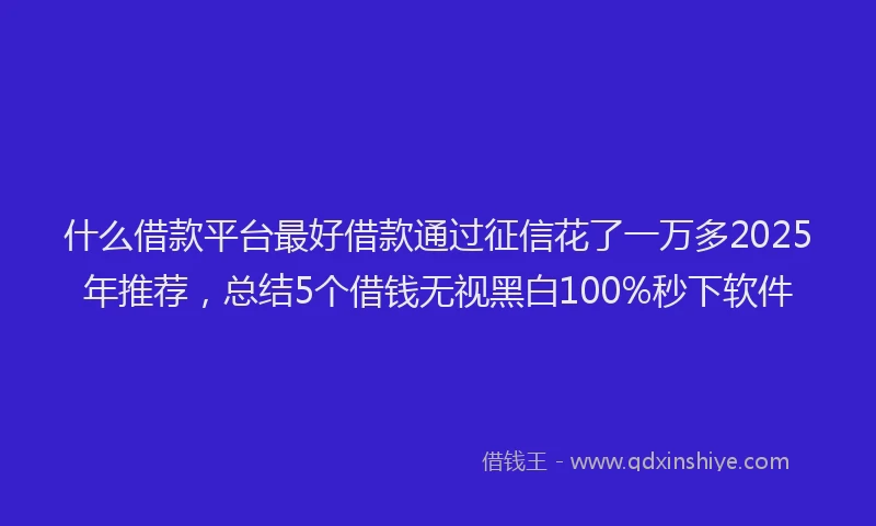 什么借款平台最好借款通过征信花了一万多2025年推荐，总结5个借钱无视黑白100%秒下软件