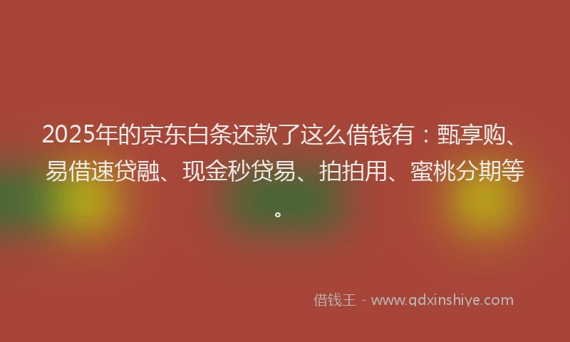 2025年的京东白条还款了这么借钱有：甄享购、易借速贷融、现金秒贷易、拍拍用、蜜桃分期等。