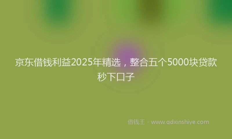 京东借钱利益2025年精选,整合五个5000块贷款秒下口子