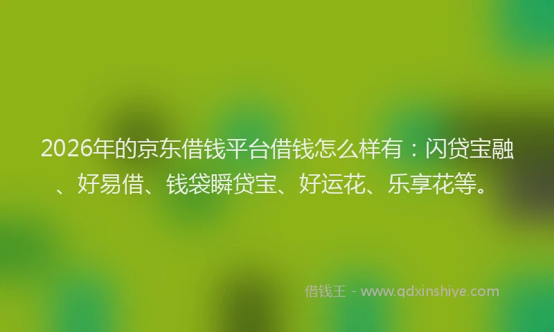 2026年的京东借钱平台借钱怎么样有:闪贷宝融、好易借、钱袋瞬贷宝、好运花、乐享花等。