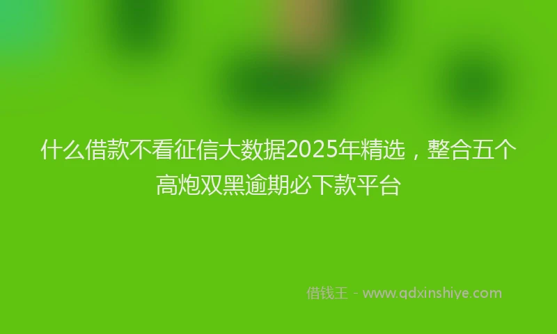 什么借款不看征信大数据2025年精选，整合五个高炮双黑逾期必下款平台