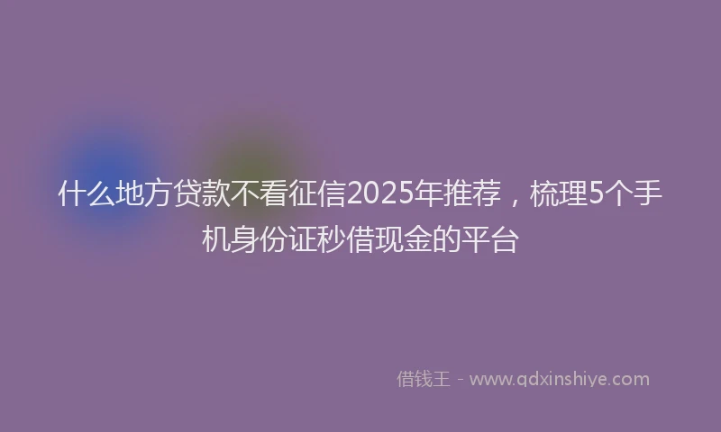什么地方贷款不看征信2025年推荐，梳理5个手机身份证秒借现金的平台