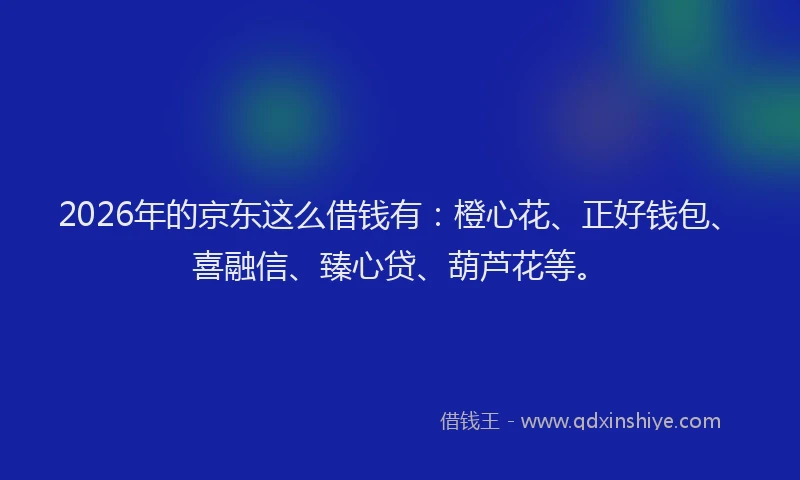 2026年的京东这么借钱有：橙心花、正好钱包、喜融信、臻心贷、葫芦花等。
