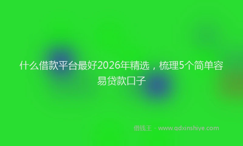 什么借款平台最好2026年精选，梳理5个简单容易贷款口子