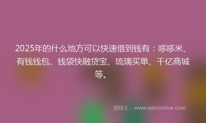 2025年的什么地方可以快速借到钱有：哆哆米、有钱钱包、钱袋快融贷宝、琉璃买单、千亿商城等。