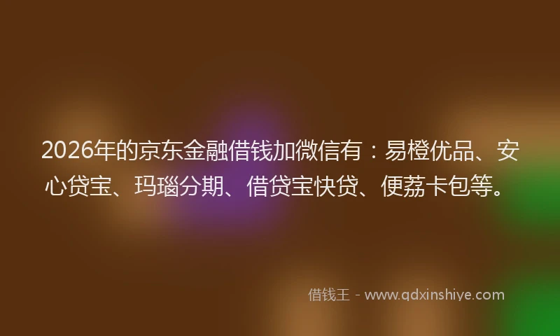 2026年的京东金融借钱加微信有：易橙优品、安心贷宝、玛瑙分期、借贷宝快贷、便荔卡包等。