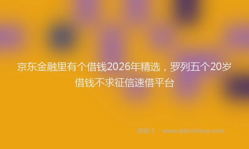 京东金融里有个借钱2026年精选，罗列五个20岁借钱不求征信速借平台