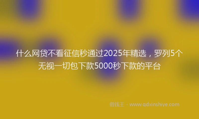 什么网贷不看征信秒通过2025年精选，罗列5个无视一切包下款5000秒下款的平台