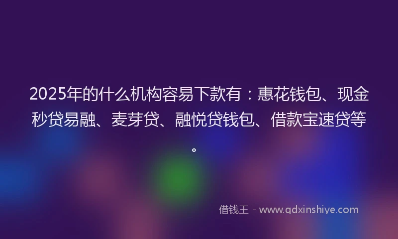 2025年的什么机构容易下款有：惠花钱包、现金秒贷易融、麦芽贷、融悦贷钱包、借款宝速贷等。