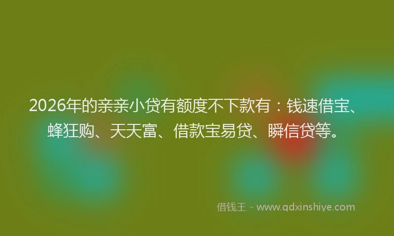 2026年的亲亲小贷有额度不下款有：钱速借宝、蜂狂购、天天富、借款宝易贷、瞬信贷等。
