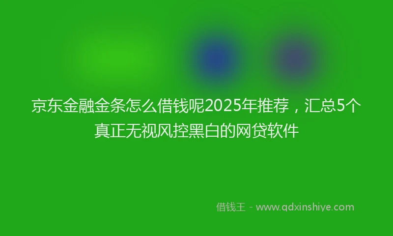 京东金融金条怎么借钱呢2025年推荐，汇总5个真正无视风控黑白的网贷软件