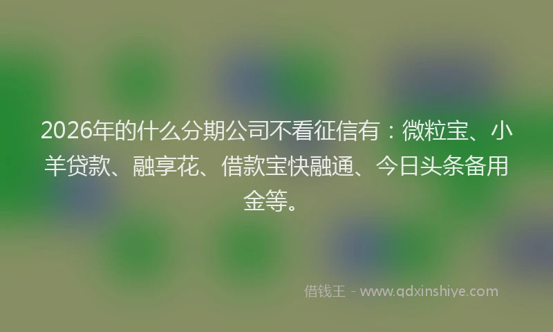 2026年的什么分期公司不看征信有：微粒宝、小羊贷款、融享花、借款宝快融通、今日头条备用金等。