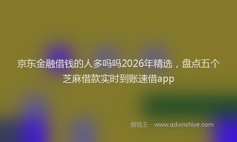 京东金融借钱的人多吗吗2026年精选，盘点五个芝麻借款实时到账速借app