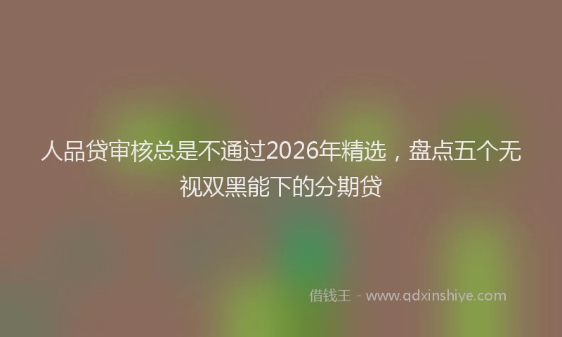 人品贷审核总是不通过2026年精选，盘点五个无视双黑能下的分期贷