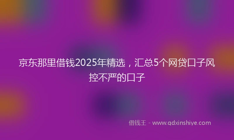 京东那里借钱2025年精选，汇总5个网贷口子风控不严的口子